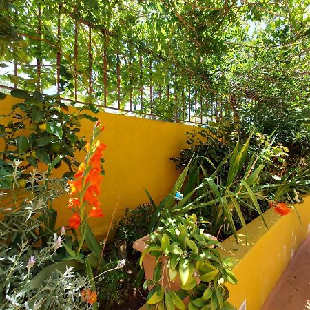 Casa Maestro Lelo - Acogedora Casa Rural Canaria Con Patios Y Jardines De Flores Las Palmas Buitenkant foto