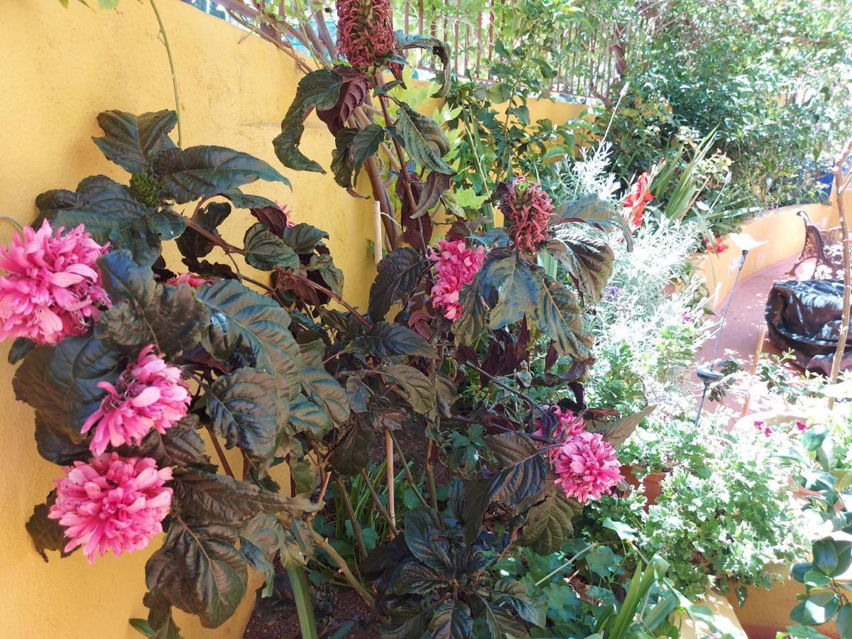 Casa Maestro Lelo - Acogedora Casa Rural Canaria Con Patios Y Jardines De Flores Villa Las Palmas Buitenkant foto