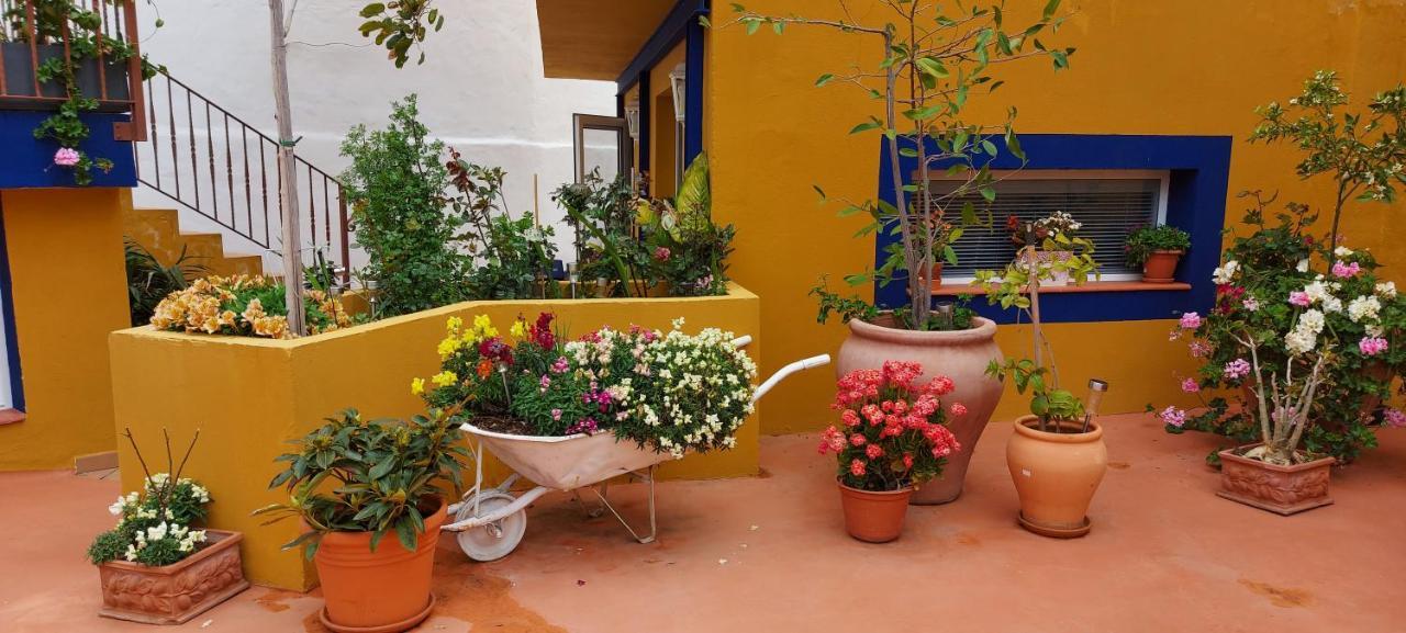 Casa Maestro Lelo - Acogedora Casa Rural Canaria Con Patios Y Jardines De Flores Las Palmas Buitenkant foto